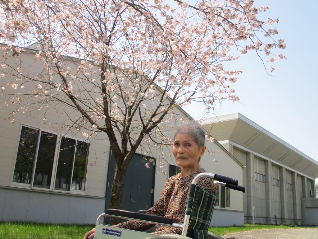 晴天の花見です