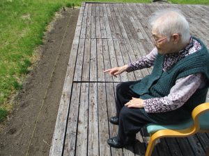 ひまわり育成日記　発芽🌱