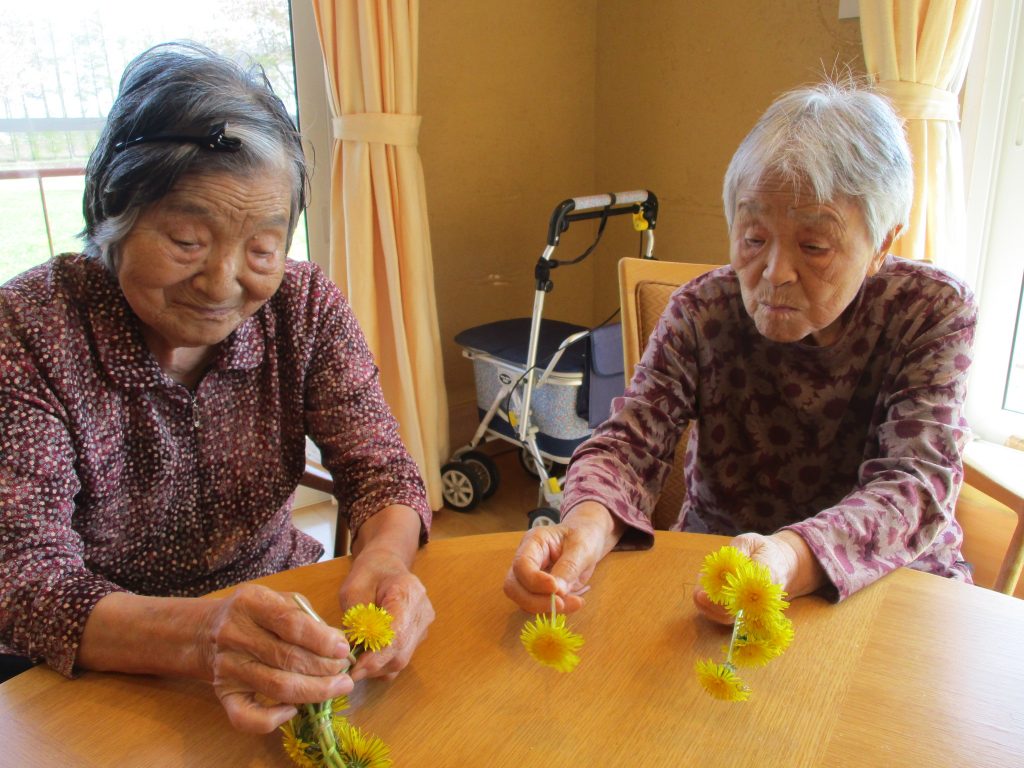 子供の日🎏　タンポポが開く🌼