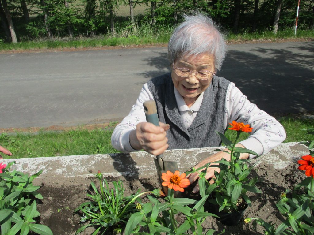 もみじの里初夏の花植え祭🌷