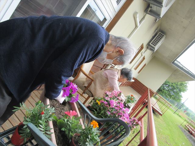 西2番地　花植え🌼